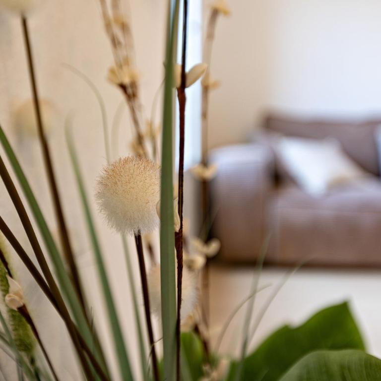 Spacious Renovated Apt in Pezenas Center - Appartement 1 Chambre - 4