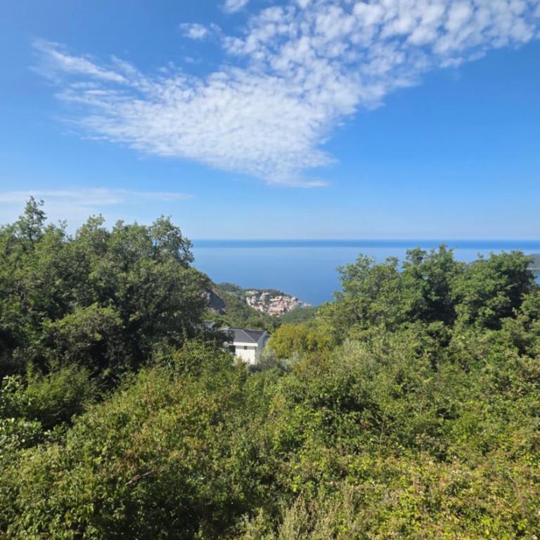 APARTMAN NIKA BUDVA-PRZNO - Apartman sa 2 Spavaće Sobe - 54