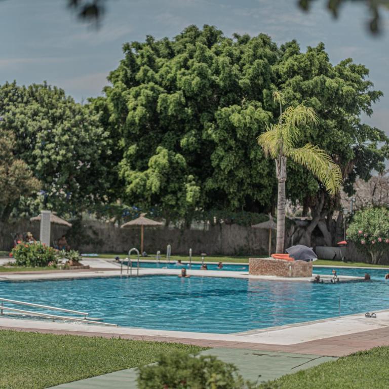 Paradise in Torremolinos Malaga, Recep 24 h, Swimming Pool, near to the beach, city center and airport, train, bus, taxi - Apartamento - 47
