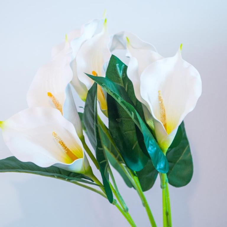 Apartment La Vie - Two-Bedroom Apartment with Terrace - 50