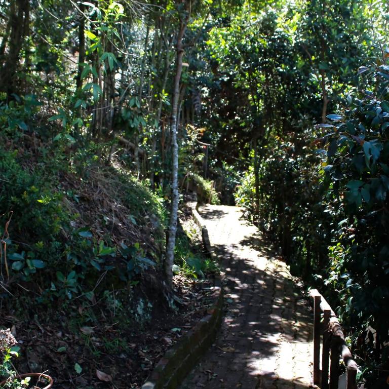 Casa finca, descanso en medio de la naturaleza . - Casa de 2 dormitorios - 21