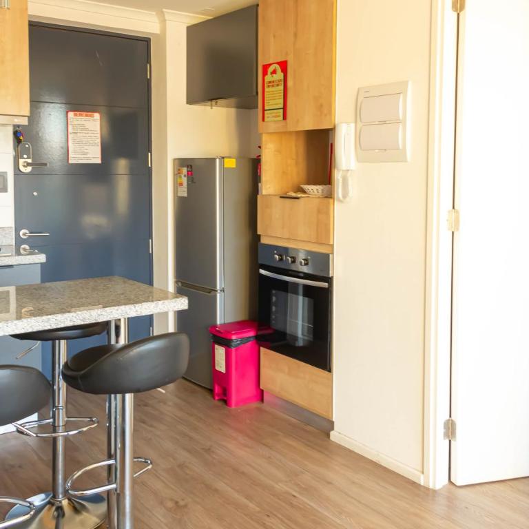 Exclusivo Depto 1D1B 3 camas y estacionamiento - Apartamento de 1 dormitorio - 4