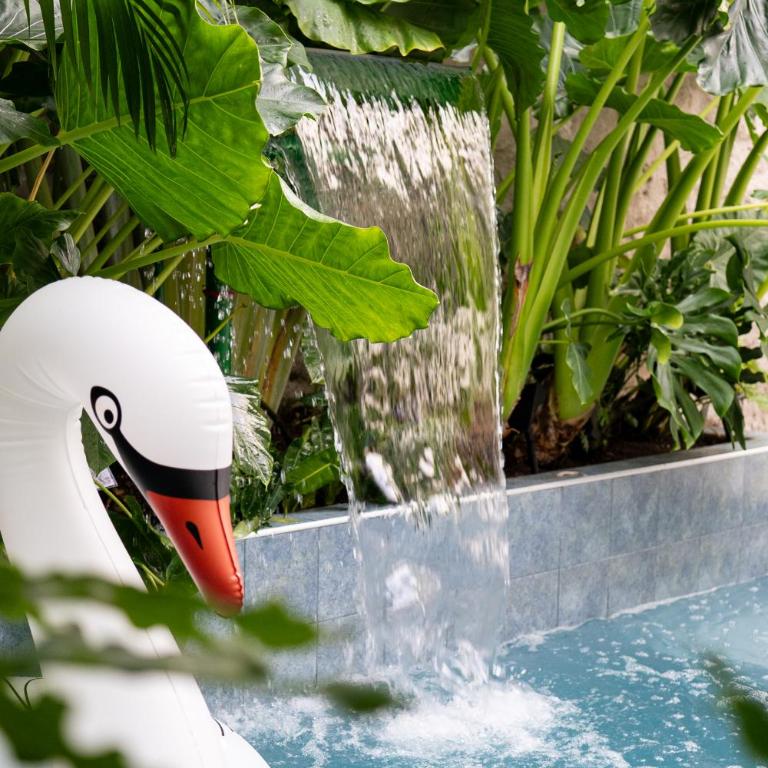 The Villa Catalina - Villa with Private Pool - 20