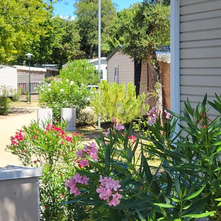 Mobilhome au bord de l'eau - Mobile Home - 25