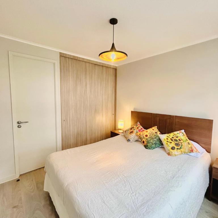 Depto Pucon Wifi y aire acondionado - Apartamento de 1 dormitorio - 6