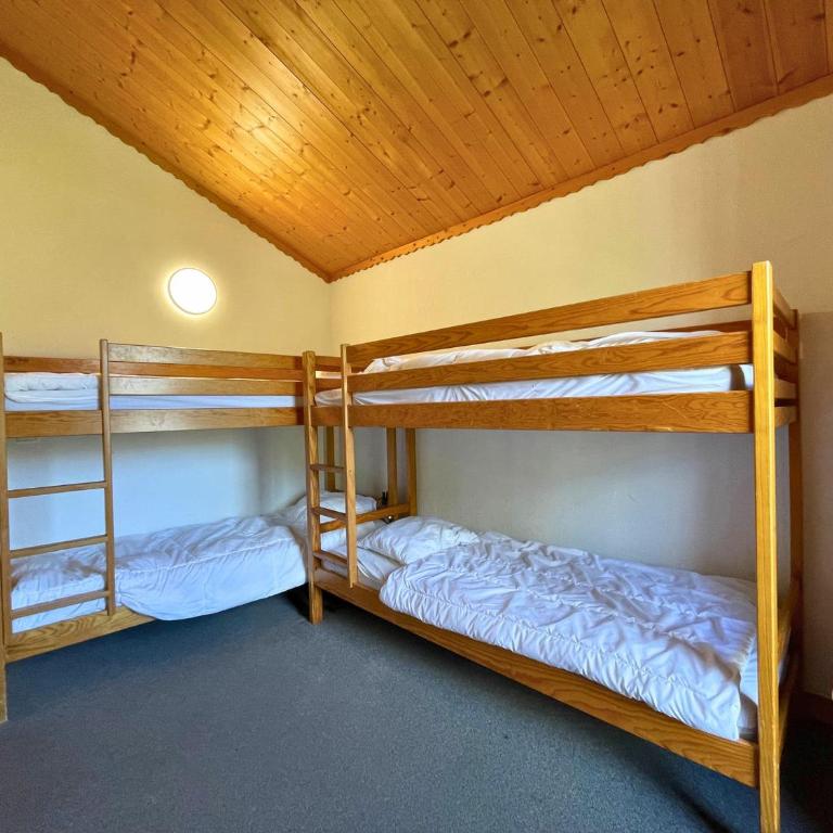 Ski aux pieds, 12 pers, animaux admis, Les Menuires - FR-1-452-86 - Appartamento (12 Adulti) - 15