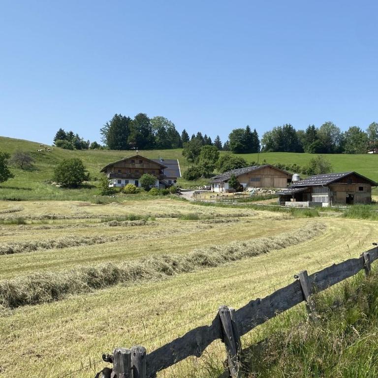 Langegger Alm - Sennerstube - Apartment - 20