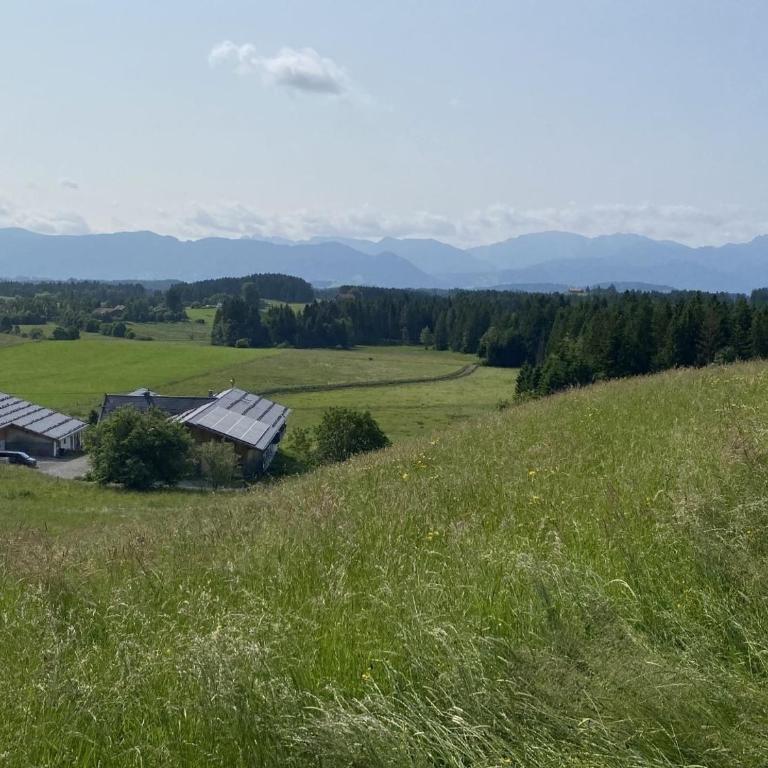 Langegger Alm - Almhütte - Apartment - 30