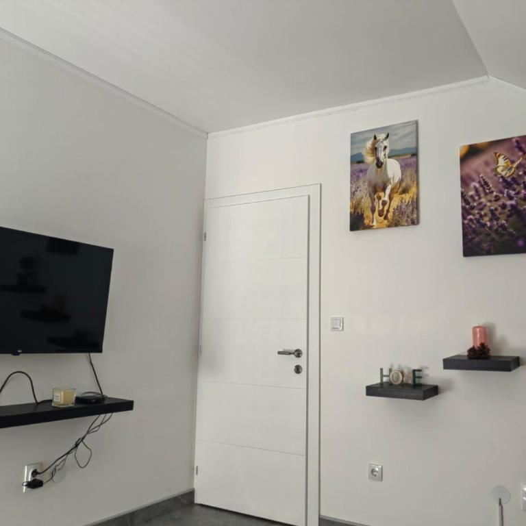 Apartment Holiday - Apartman sa 2 Spavaće Sobe i Balkonom - 12