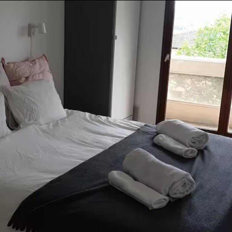 Cozy 2-Room Apartment, 10 min Walk to Tram for Geneva - Appartement 1 Chambre - 3