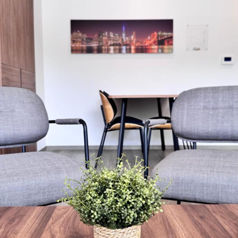 Casa Indigo - Superior Apartment - 9