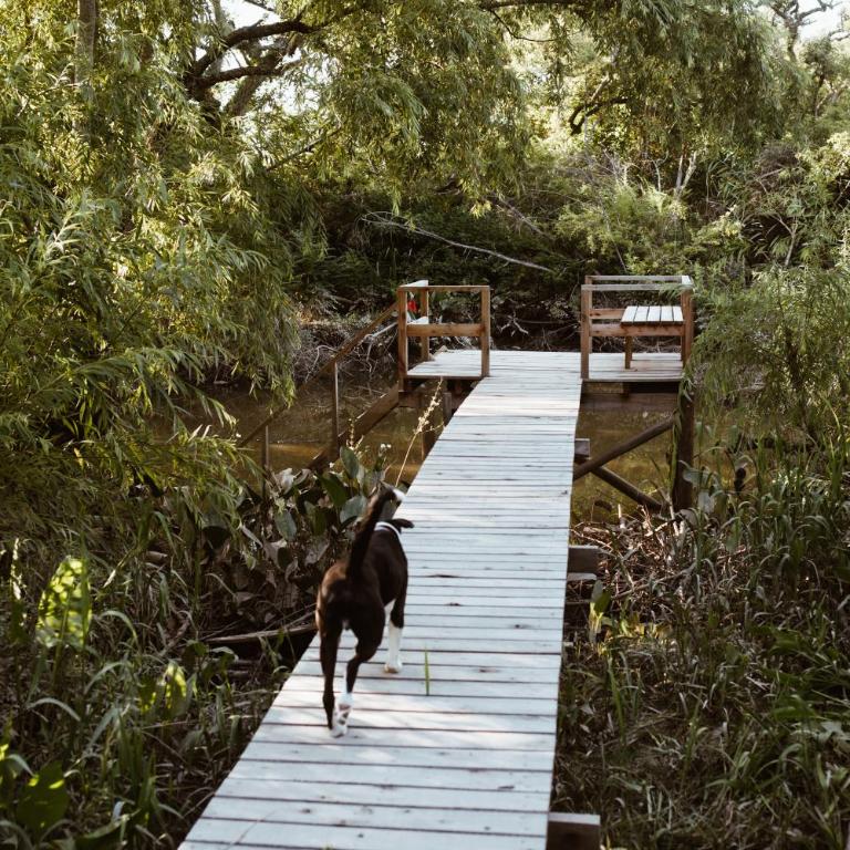 CASA XI - Isla del Delta - Casa con 1 dormitorio - 2