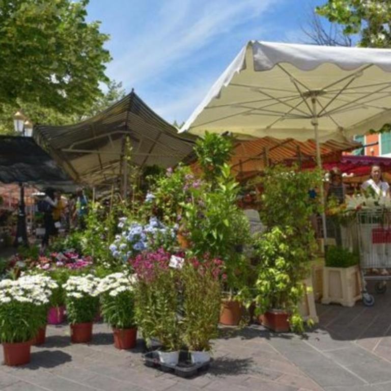 Jardin tropical, parking, climatisation - Appartement 1 Chambre - 7