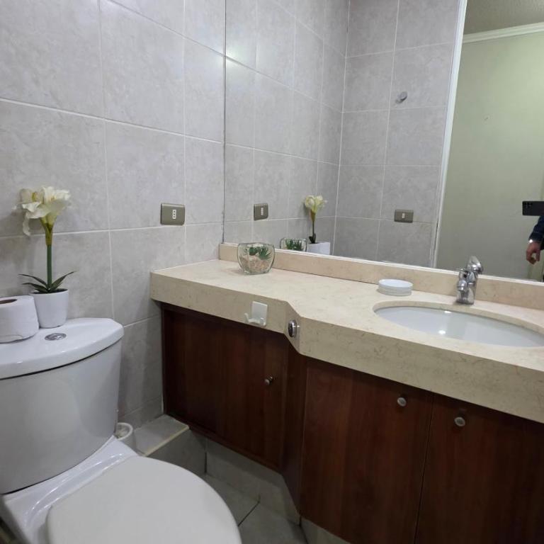 Oceana Suites Antonio Varas - Two-Bedroom Apartment with City View - 9