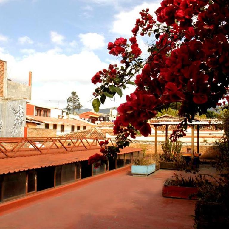 Hostel El Nagual - Single Bed in Female Dormitory Room - 1