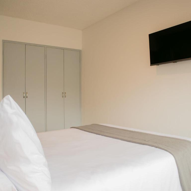 Striking 1BR in Miraflores - Apartment - 16