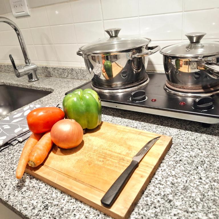 Vineyard Olive Inn - cercanía salón Terra Oliva, bodega Casa Vigil, La Rural, Trapiche, Florio y muchas máss - One-Bedroom Apartment with Pool View - 5