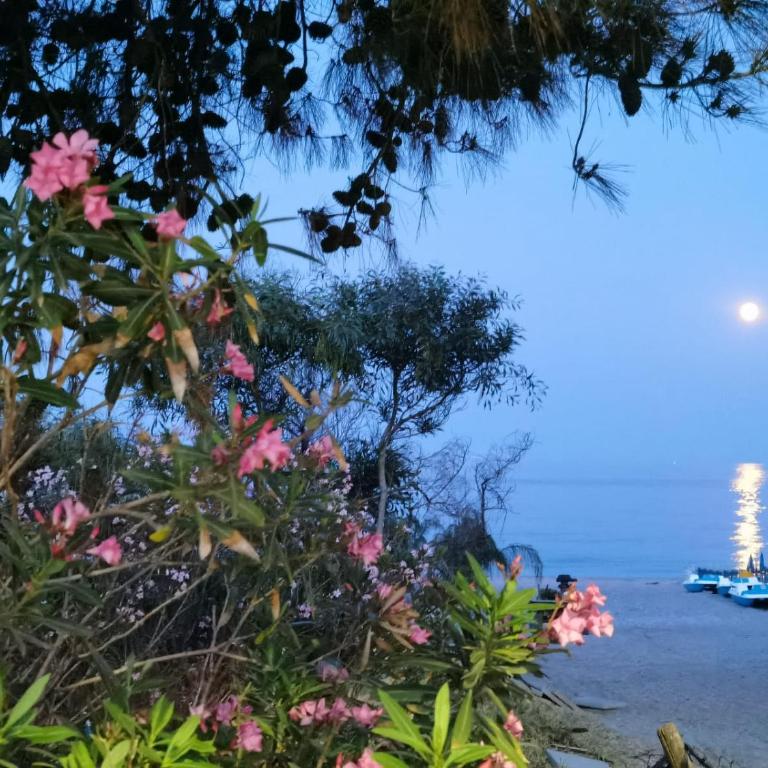INCANTO DI MARE - Fondachello apartments - Appartamento con 2 Camere da Letto - 22
