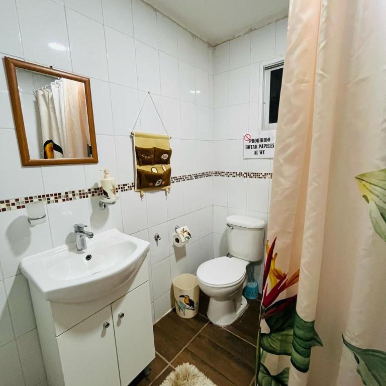 Propiedades Buda-Tongoy-Chile - Casa de 4 dormitorios - 14