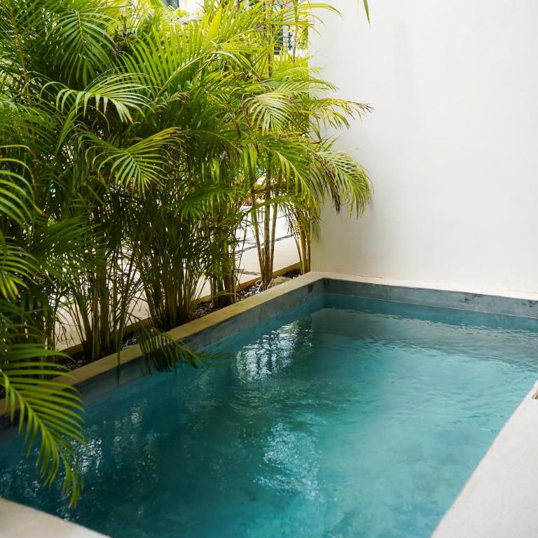 Otonomus Tulum - Estudio con vistas a la piscina - 27