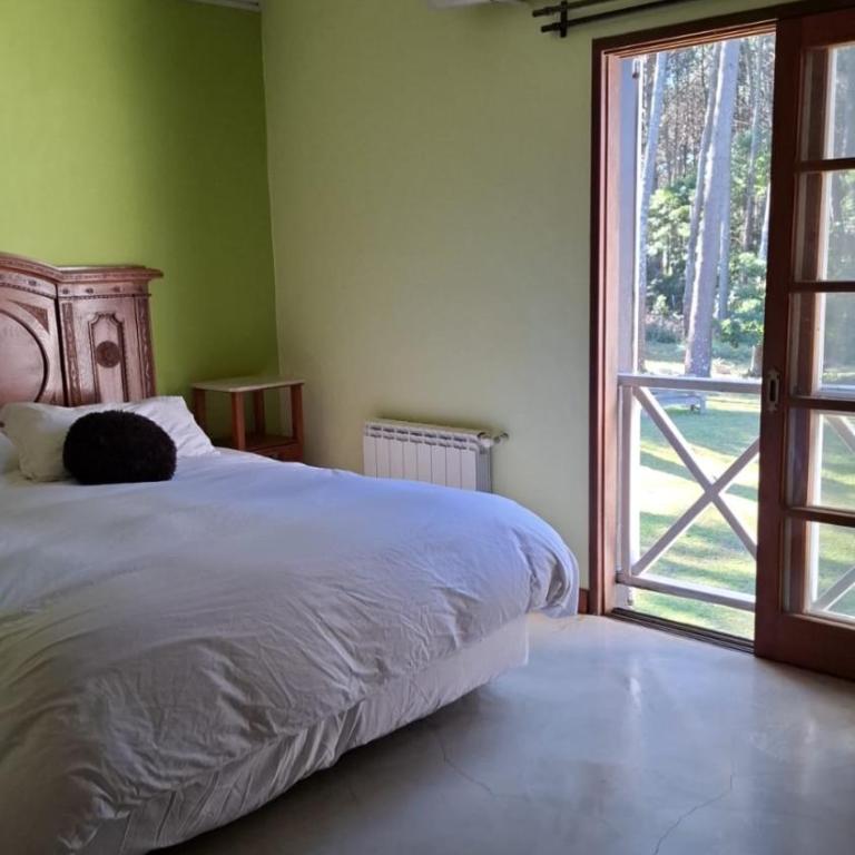 Neike Hotel Boutique - Suite con vistas a la piscina - 1