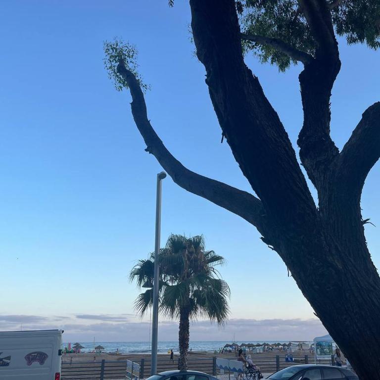 APCOSTAS Palmavera Playa de la Conxa - Apartamento 1 dormitorio con vistas al mar y terraza - 39