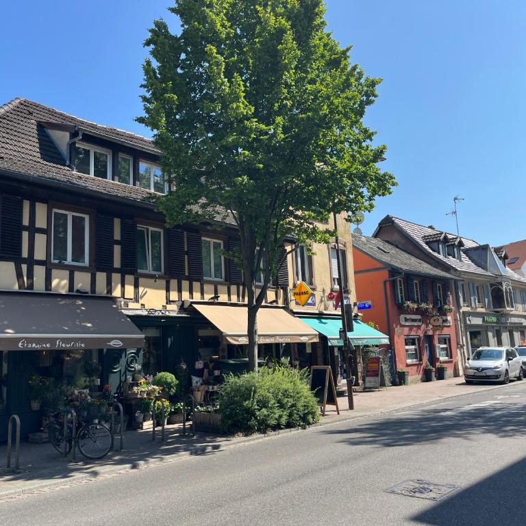 La maison alsacienne Strasbourg - Maison 3 Chambres - 44