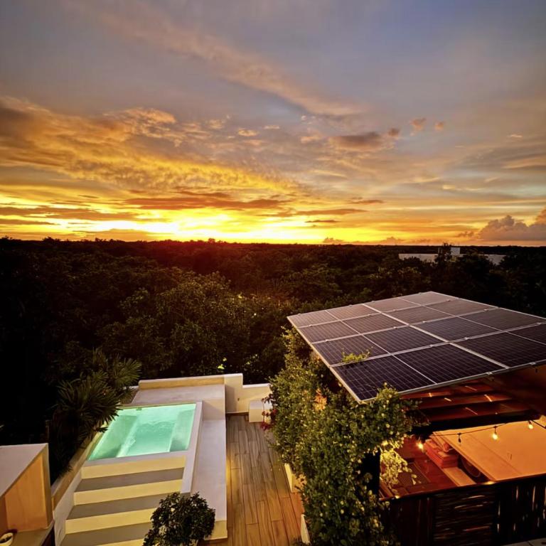 The Strelitzia Project with Private Cenote & Infinity Pool - Apartamento de 1 dormitorio con bañera de hidromasaje en la azotea - 3