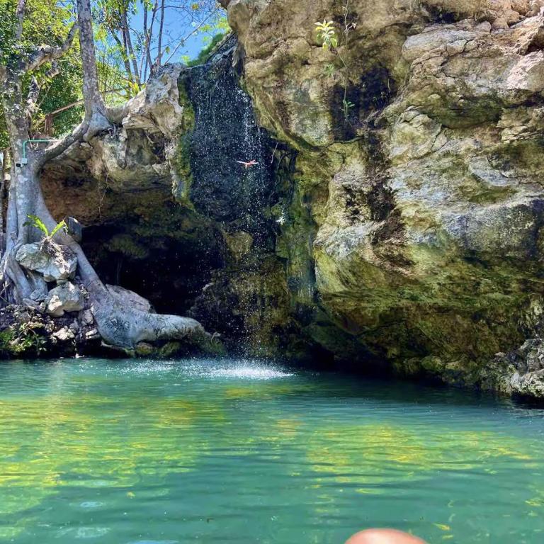 The Strelitzia Project with Private Cenote & Infinity Pool - Apartamento de 1 dormitorio con vistas a la piscina - 6