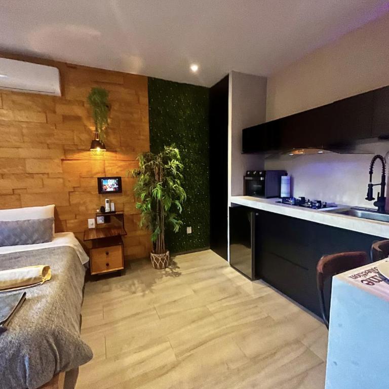 The Strelitzia Project with Private Cenote & Infinity Pool - Apartamento de 1 dormitorio con vistas a la piscina - 12
