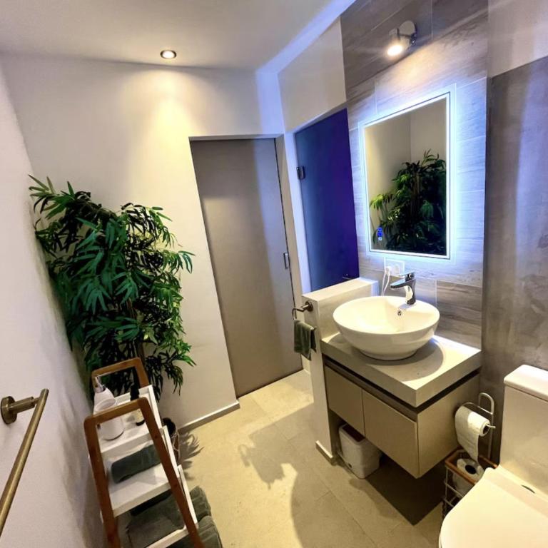 The Strelitzia Project with Private Cenote & Infinity Pool - Apartamento de 1 dormitorio con bañera de hidromasaje en la azotea - 16