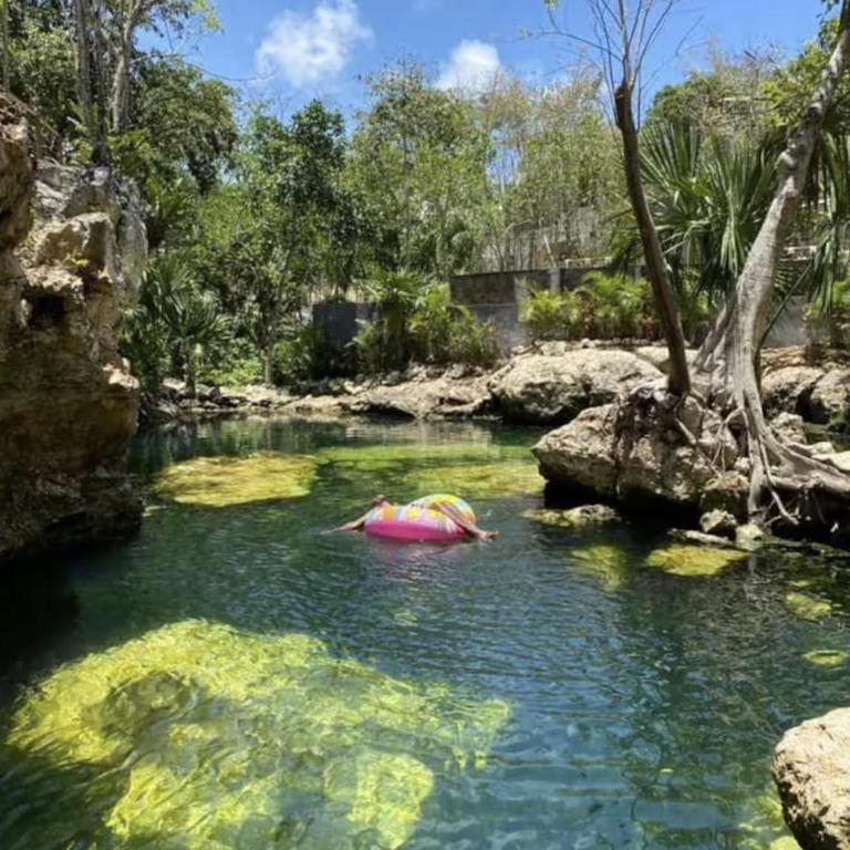 The Strelitzia Project with Private Cenote & Infinity Pool - Apartamento de 1 dormitorio con bañera de hidromasaje en la azotea - 12