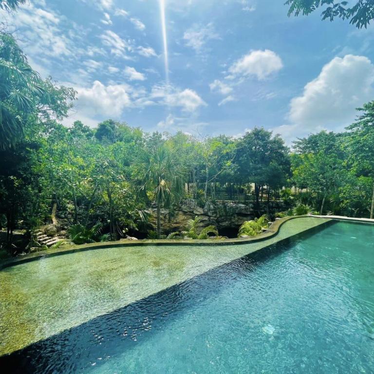 The Strelitzia Project with Private Cenote & Infinity Pool - Apartamento de 1 dormitorio con vistas a la piscina - 13