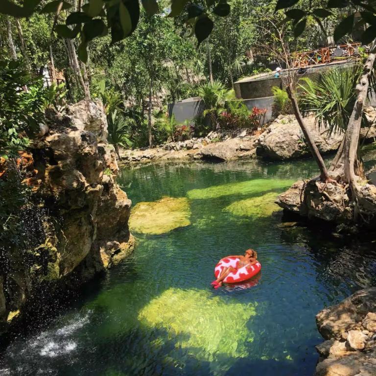 The Strelitzia Project with Private Cenote & Infinity Pool - Apartamento Estudio con cama extragrande - 1