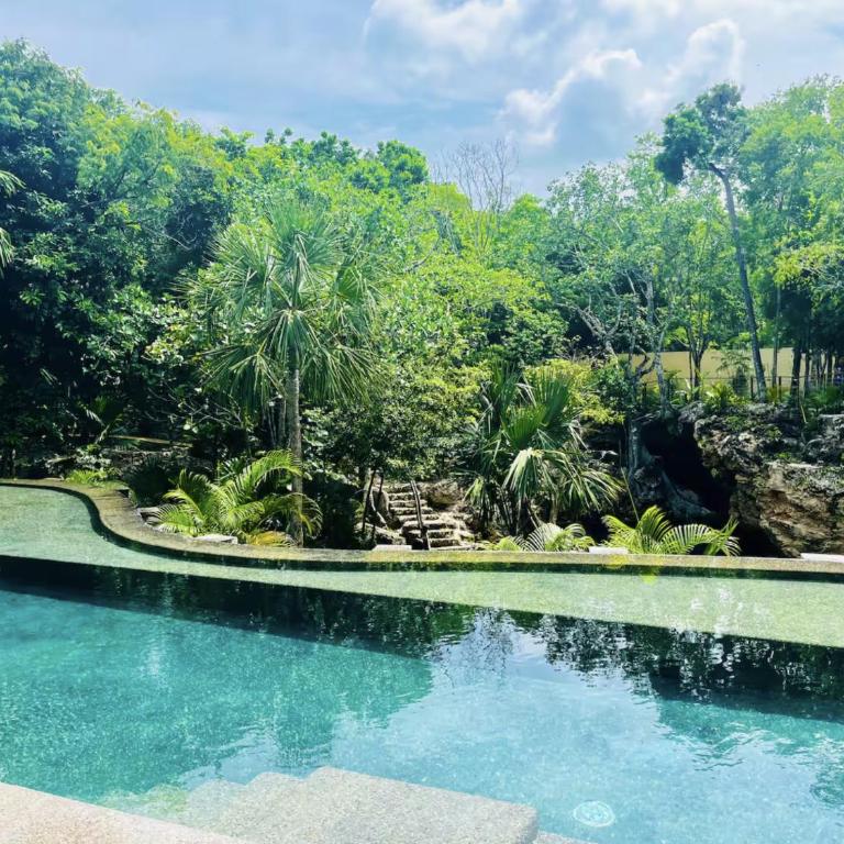 The Strelitzia Project with Private Cenote & Infinity Pool - Apartamento de 1 dormitorio con vistas a la piscina - 15