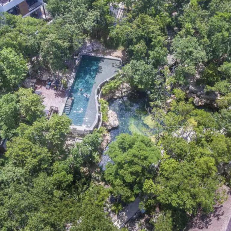 The Strelitzia Project with Private Cenote & Infinity Pool - Apartamento de 1 dormitorio con bañera de hidromasaje en la azotea - 14
