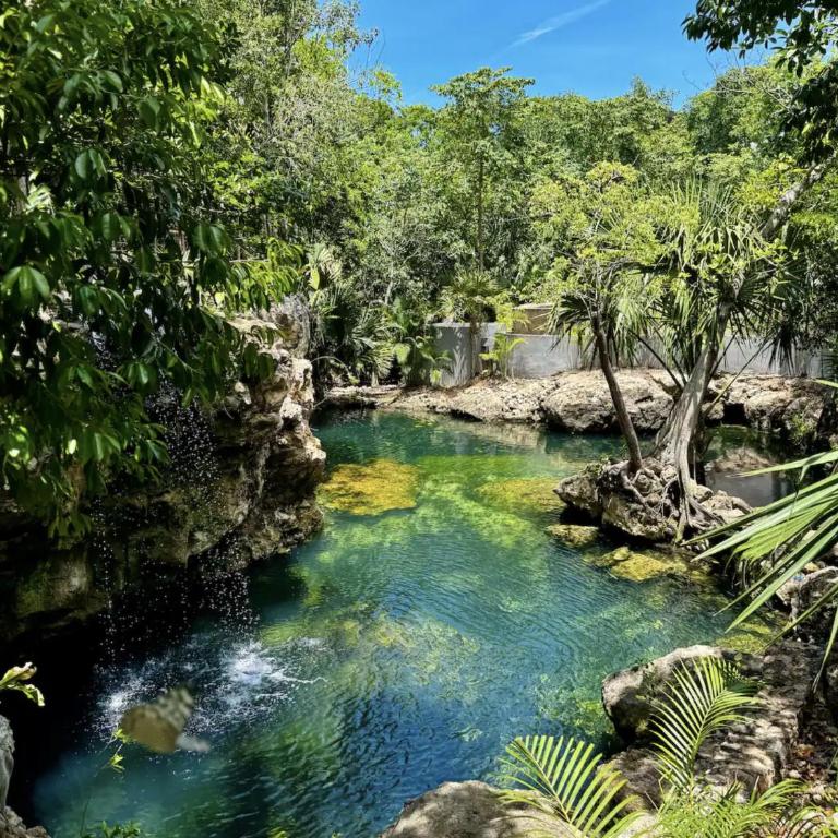 The Strelitzia Project with Private Cenote & Infinity Pool - Apartamento Estudio con cama extragrande - 21