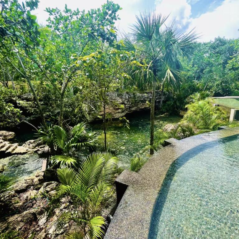 The Strelitzia Project with Private Cenote & Infinity Pool - Apartamento de 1 dormitorio con vistas a la piscina - 17