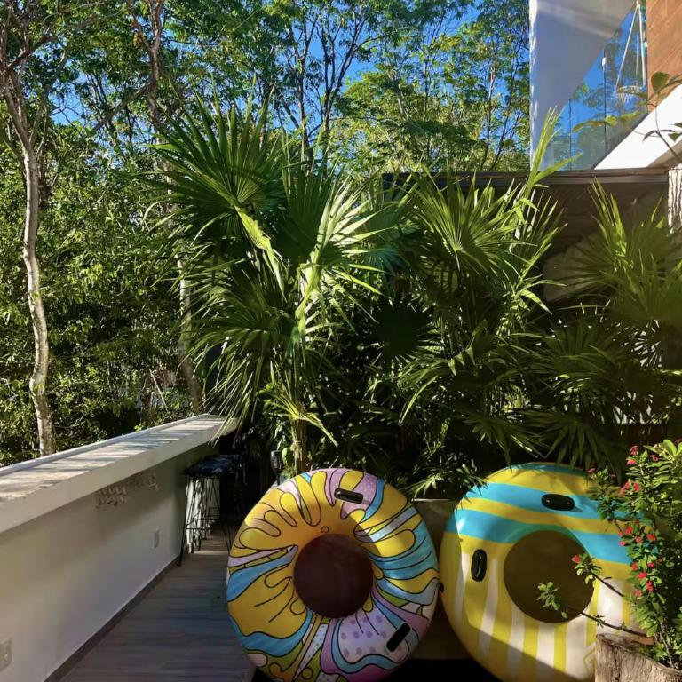 The Strelitzia Project with Private Cenote & Infinity Pool - Apartamento de 1 dormitorio con vistas a la piscina - 18