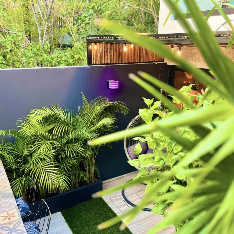The Strelitzia Project with Private Cenote & Infinity Pool - Apartamento de 1 dormitorio con vistas a la piscina - 36