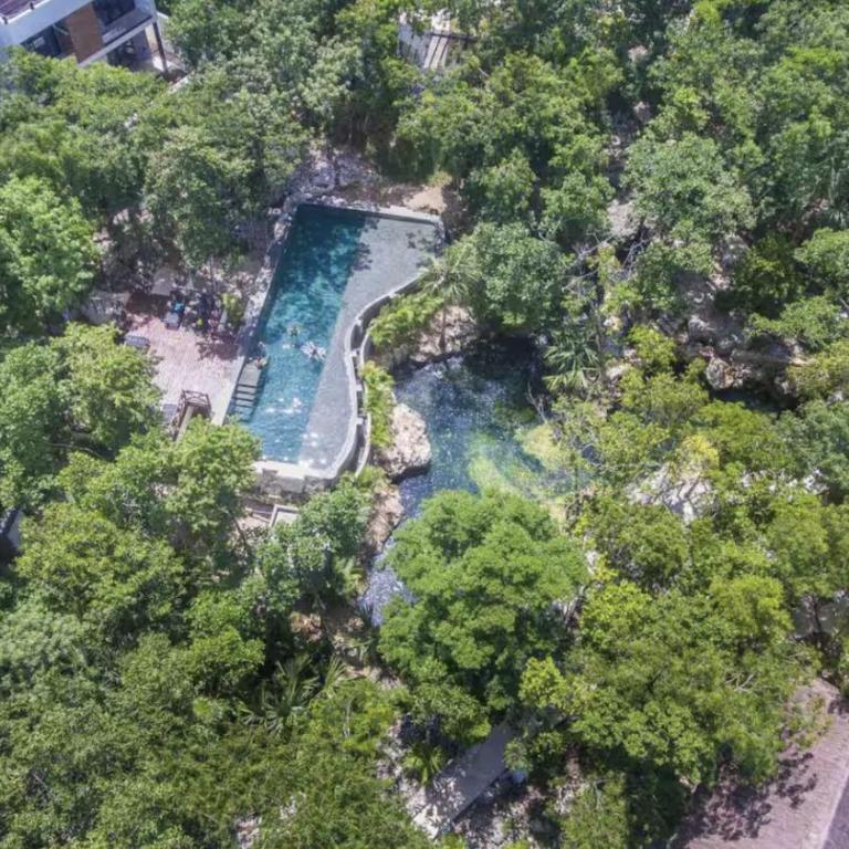 The Strelitzia Project with Private Cenote & Infinity Pool - Apartamento de 1 dormitorio con vistas a la piscina - 29