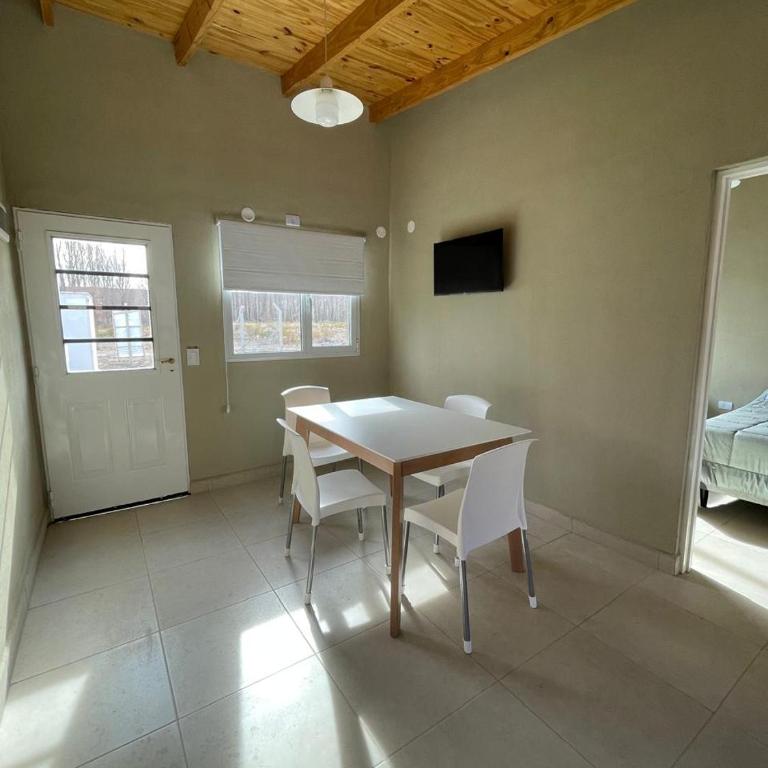 Carli Añelo - Apartamento de 2 dormitorios - 4