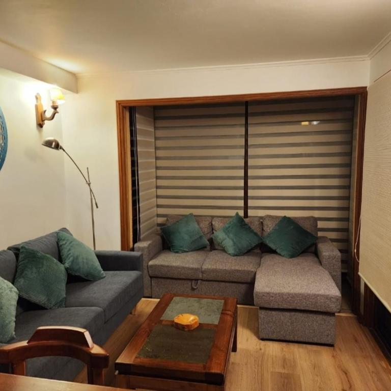 Apartamento cercano a Termas de Chillán - Two-Bedroom Apartment with Terrace - 4