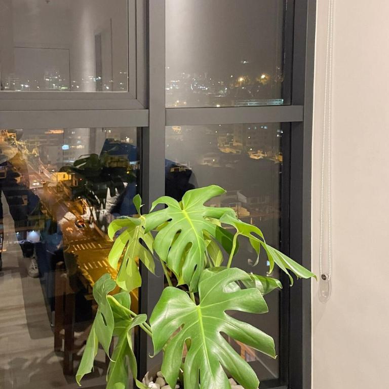 Stunning high-rise suite with panoramic view - Apartamento de 1 dormitorio - 24