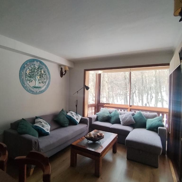 Apartamento cercano a Termas de Chillán - Two-Bedroom Apartment with Terrace - 15