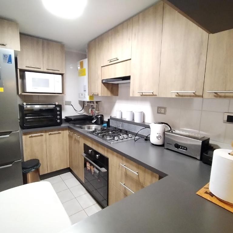 Apartamento cercano a Termas de Chillán - Two-Bedroom Apartment with Terrace - 23