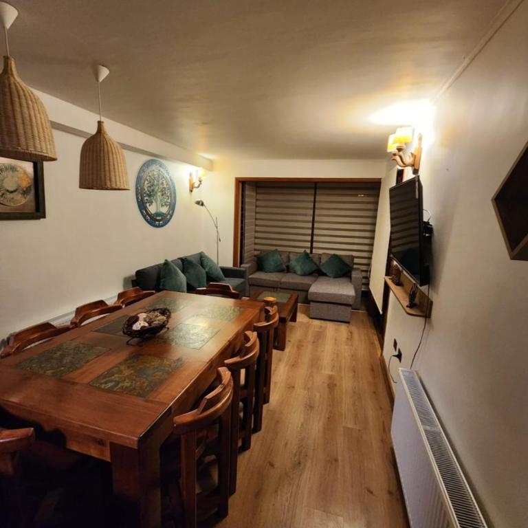 Apartamento cercano a Termas de Chillán - Two-Bedroom Apartment with Terrace - 35