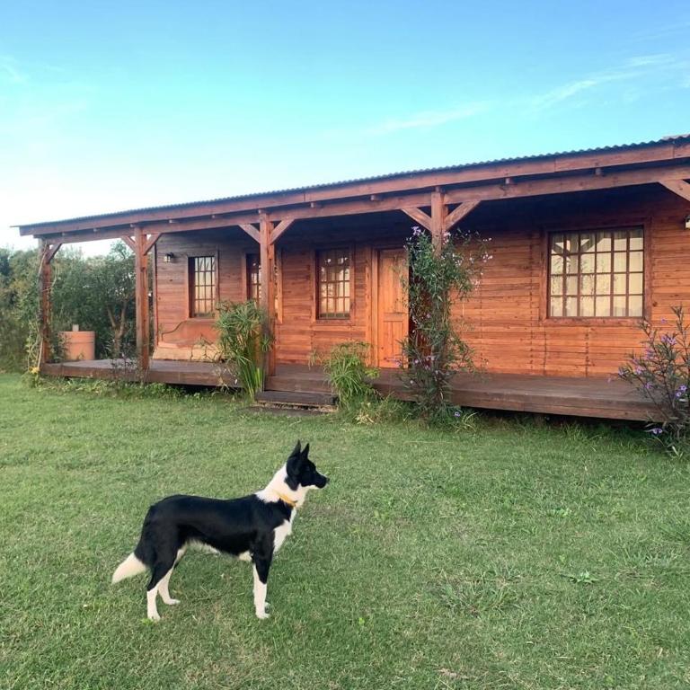 La Presumida - Tent - 1