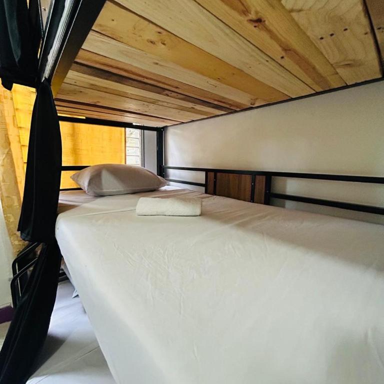 Casa Almanik Hostel - Bed in 6-Bed Dormitory Room - 4