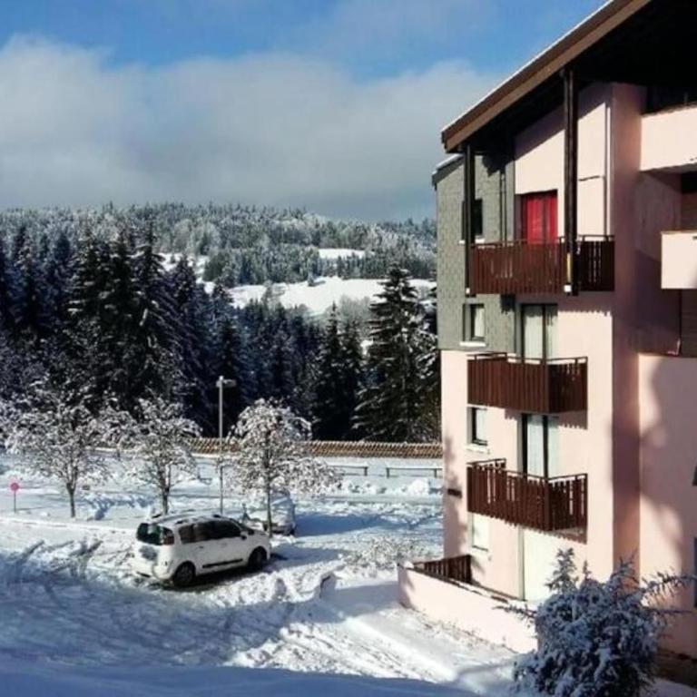 Appartement avec balcon vue montagne à Bellevaux - Studio - Vue sur Montagne - 5